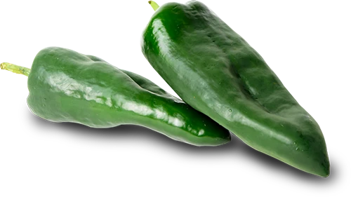 Chile Poblano